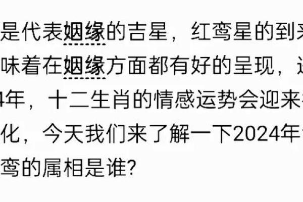 属猪2025遇红鸾_95属猪2025正缘出现时间