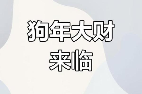 2025年属狗人运势详解82年出生者必看