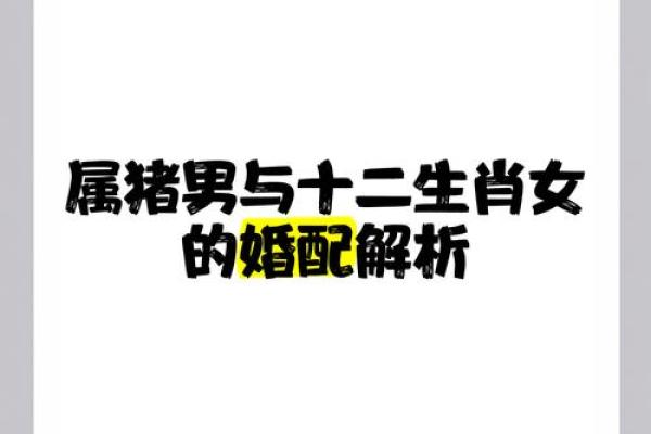 属猪男和属虎女婚姻配对解析适合做夫妻吗