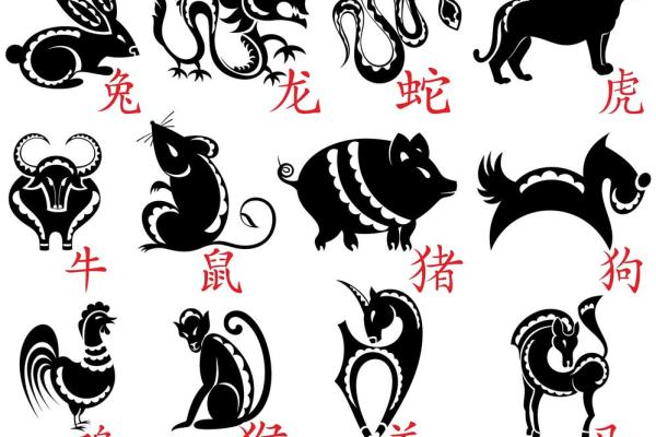 阴阳相隔是什么生肖(阴阳相隔是什么生肖打一动物)