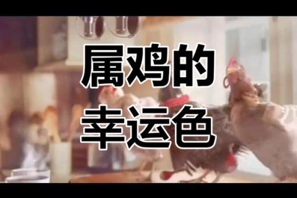 2025年属鸡幸运数字揭秘助你运势飙升