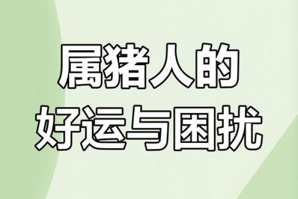 1971年属猪男在2025年运势_1971年猪男在2022年运势