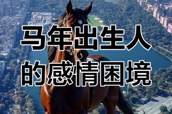 属马2025贵人是谁 属马的情劫是谁 属马2025贵人是谁 属马的情劫是谁