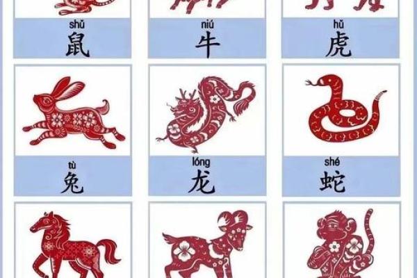 隔宿之仇是什么生肖(隔宿之仇是什么生肖)