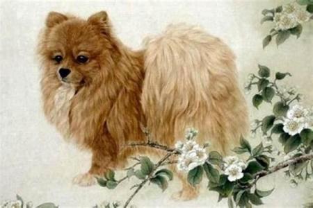 1958属狗的女命今年运势如何 1958年属狗女在2021年的运势