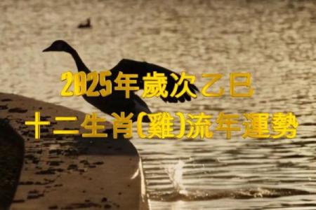 2025年鸡年运势_2025年鸡年运势详解财运事业爱情全解析