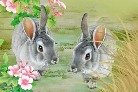 属兔的2024年运势和财运怎么样 2025年属兔运气怎么样