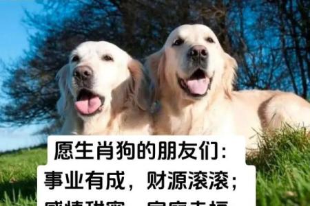 2006年属狗人婚姻命运解析幸福与挑战并存