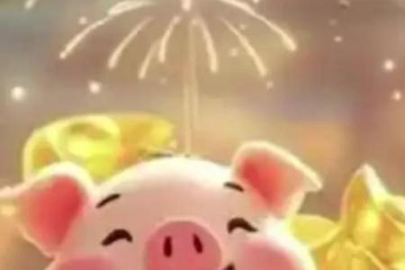 2025年属猪忌讳颜色_2025年属猪忌讳颜色大揭秘避开这些颜色运势更旺