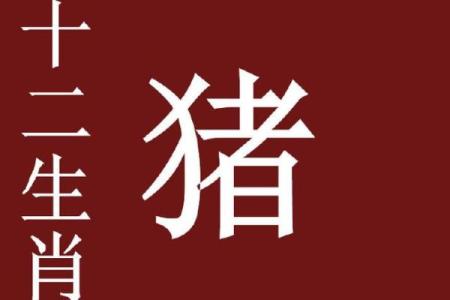 软弱无力是什么生肖(软弱无力是什么生肖正确答案)