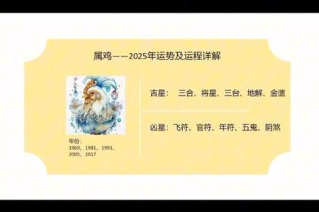 2025属鸡人的全年运势如何_1981年属鸡2025年运势