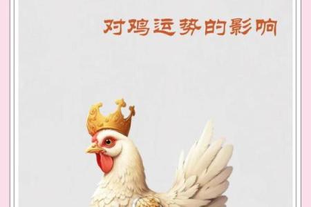 69年属鸡人2025年的运势_69年属鸡人2025年运势宋照光