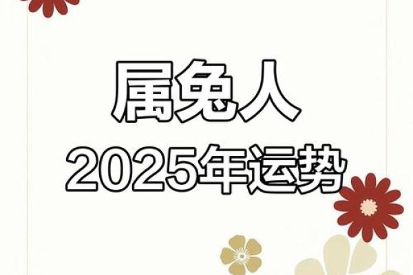 2025年1987属兔人的全年运势 2025年1987属兔人的全年运势如何