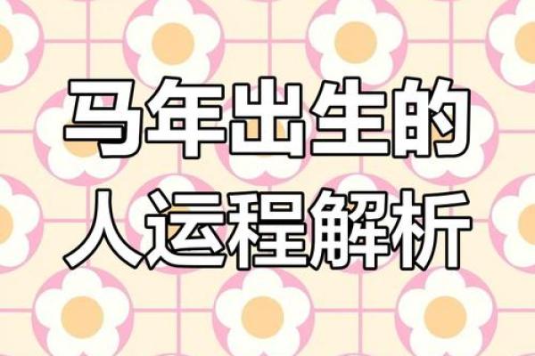 属马2026年的运势及运程 2002属马2026年的运势及运程 属马2026年的运势及运程 2002属马2026年的运势及运程