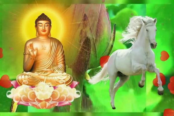 1978年属马人2015年运程详解运势解析与吉凶预测