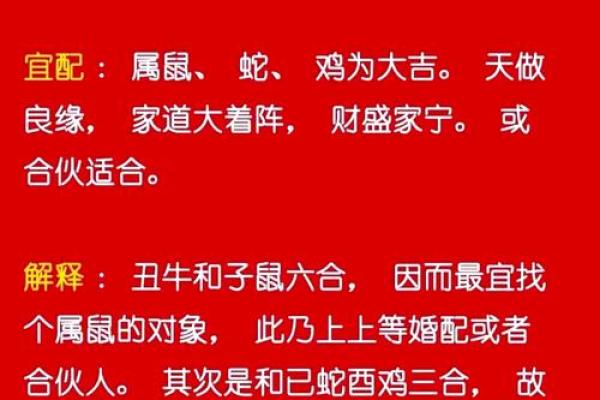 95属猪哪一年结婚最好 95属猪最佳结婚年份解析哪一年最适合步入婚姻