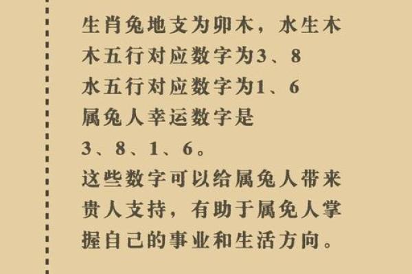 佛光普照是什么生肖(佛光普照是什么生肖和数字7) 佛光普照是什么生肖(佛光普照是什么生肖和数字7)
