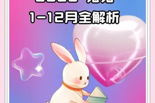 87年的兔2025年运势 2025年87年属兔人运势解析机遇与挑战并存 87年的兔2025年运势 2025年87年属兔人运势解析机遇与挑战并存