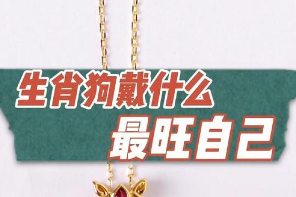 属狗2025戴什么转运_2025属狗戴什么最旺