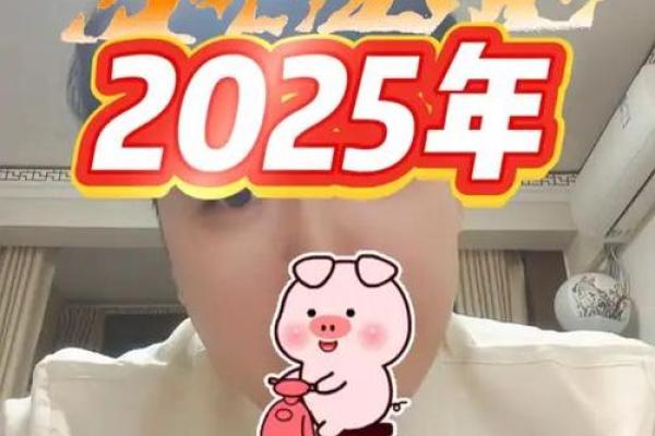 2025属猪的多大了 2025年属猪人年龄揭秘你几岁了