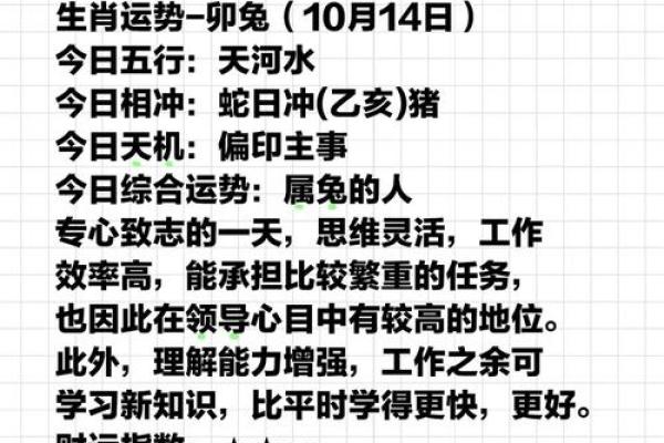 2025年生肖兔运势详解财运事业爱情全面解析 2025年生肖兔运势详解财运事业爱情全面解析