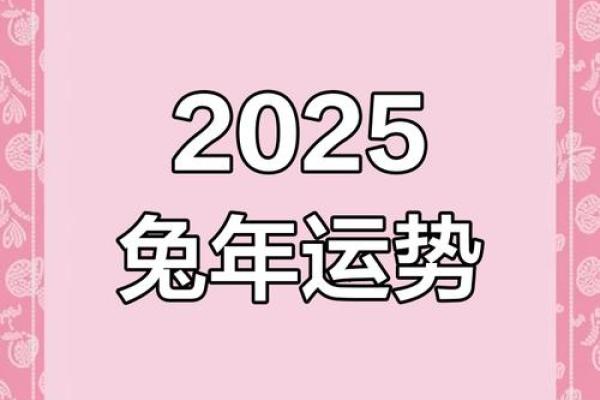 属兔2025年必有一难_2025年属兔人必有一难如何化解与应对 属兔2025年必有一难_2025年属兔人必有一难如何化解与应对