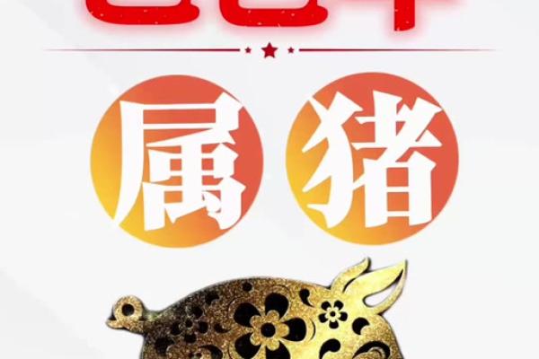 1971年属猪2024年运势及运程_1971年属猪男2025年全年运势