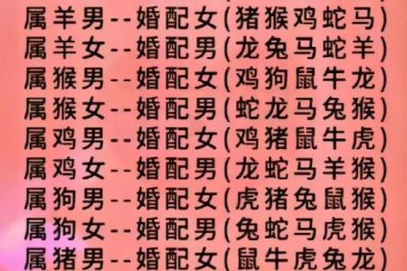 2000年属龙男孩婚配_2000年属龙男婚姻配偶