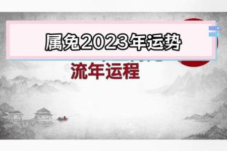 2025年属兔的运势 2025年属兔运势详解财运事业感情全面解析