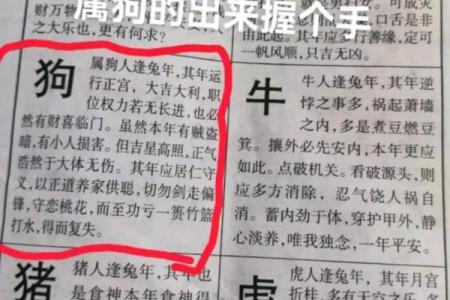 属狗的人今年多大年龄对照表一览