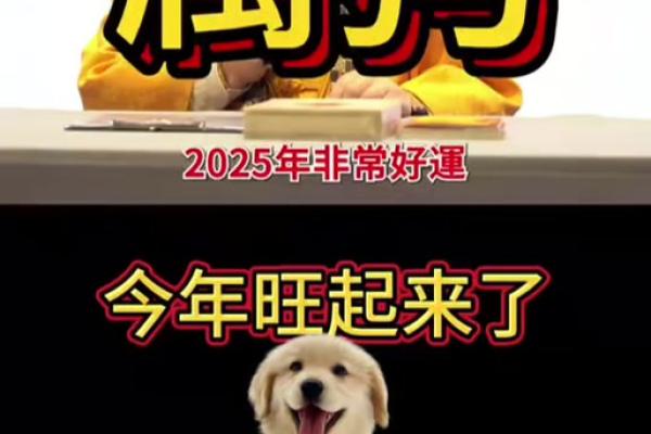 2025属狗人的全年运势如何_2025年属狗人全年运势详解财运事业感情全解析 2025属狗人的全年运势如何_2025年属狗人全年运势详解财运事业感情全解析