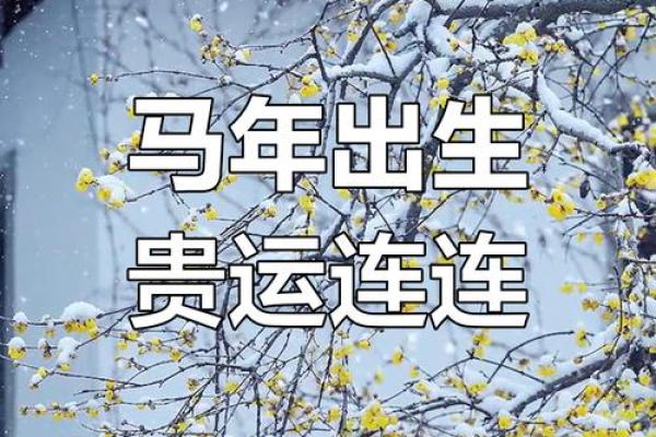 1978年属马今年财运如何_1978年属马人今年财运解析运势走向与财富建议 1978年属马今年财运如何_1978年属马人今年财运解析运势走向与财富建议