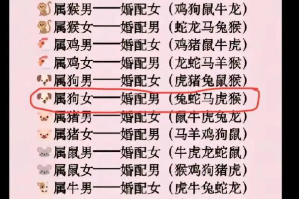 男孩属虎女孩属龙可以婚配吗 男生属虎女生属龙在一起好吗 男孩属虎女孩属龙可以婚配吗 男生属虎女生属龙在一起好吗