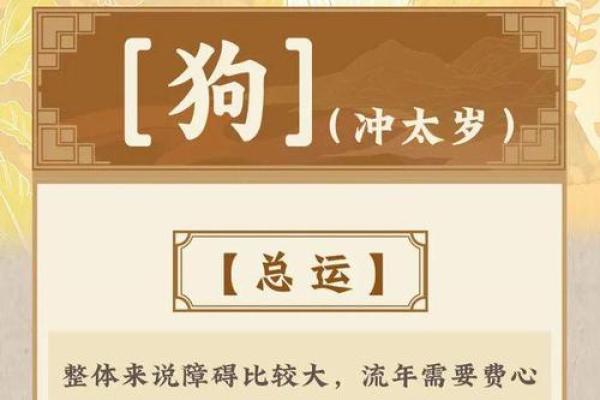 1982年属狗女2024年全年的运势_1982年的狗女2025年运势如何 1982年属狗女2024年全年的运势_1982年的狗女2025年运势如何