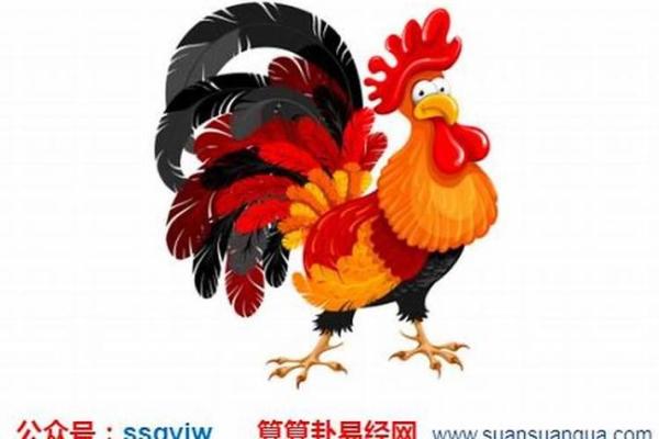 81年属鸡今日偏财运解析如何把握财富机遇