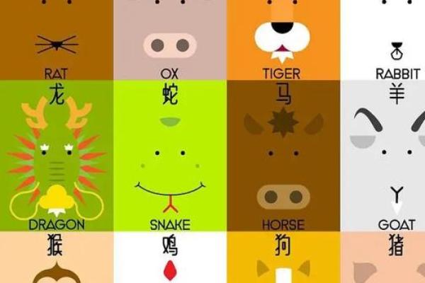 一飞冲天指什么生肖(一飞冲天指什么生肖最佳)