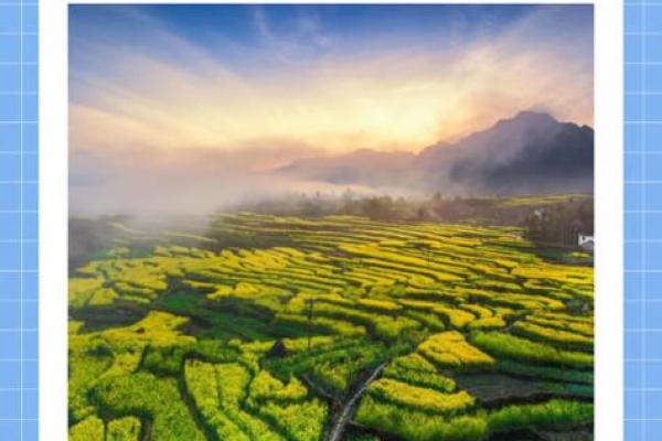 寸草春晖是什么生肖(寸草春晖的生肖是什么)