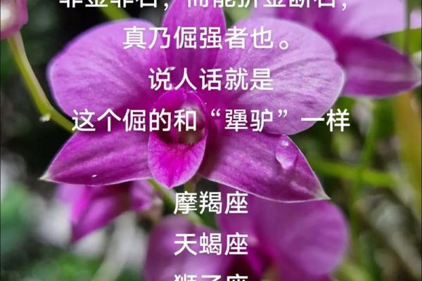 根深蒂固是什么生肖(根深蒂固是什么生肖意思) 根深蒂固是什么生肖(根深蒂固是什么生肖意思)
