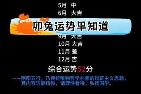 1975年属兔人2024年运势解析事业财运健康全预测