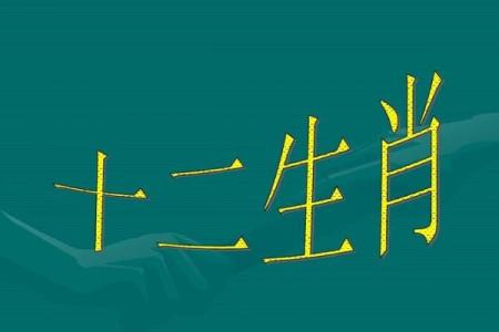 四目相对打一生肖(四目相对猜生肖)