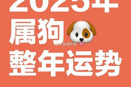 属狗的人2025年的运势 2025年属狗人运势详解事业财运爱情全解析