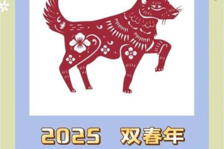2025年属狗的多少岁_55岁狗2025年运势