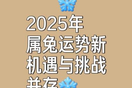 99年属兔2025年运势 1999年属兔的在2025年的运势怎样
