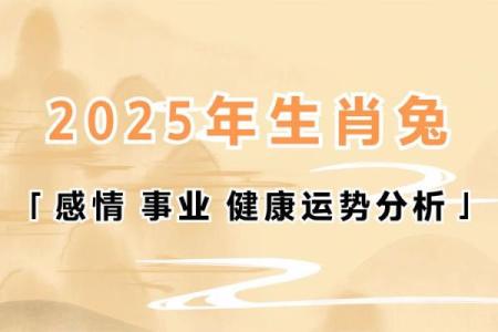 属兔人2025年运势及财运 属兔人2025年运势及财运图片