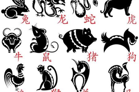 聚精会神是什么生肖(聚精会神是什么生肖15天)