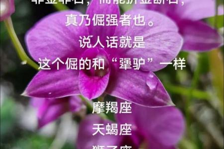 根深蒂固是什么生肖(根深蒂固是什么生肖意思)