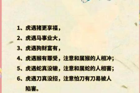 天下美景指什么生肖(天下美景指什么生肖正确答案)