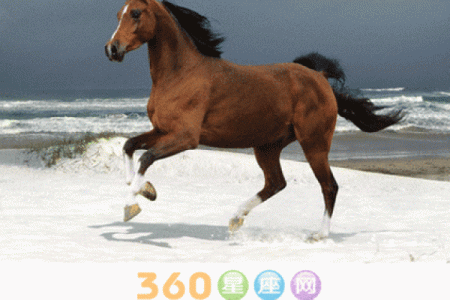 1990年属马的五行属性是什么 1990年属马的在五行里属于什么