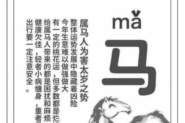 属马今年多大了2025年_2025年属马人年龄对照表今年多大岁数 属马今年多大了2025年_2025年属马人年龄对照表今年多大岁数