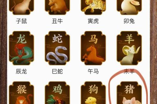 属猪和属龙的婚姻相配吗_属猪和属龙的婚姻相配吗解析生肖配对奥秘